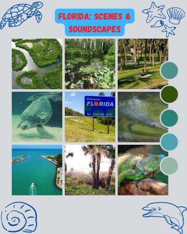 Florida nature and wildlife mood board — sea turtle, palm-lined roads, and lush greenery inspiring Soledad Music Official's coastal country 